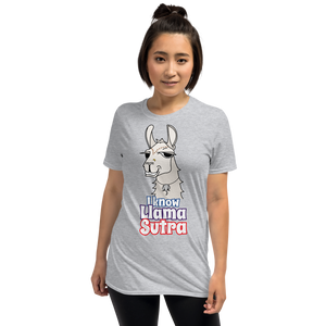 The Cool Llama - I Know Llama Sutra Plain Unisex T-Shirt