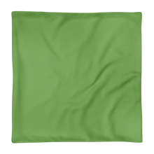 Load image into Gallery viewer, Relax - Pillow Case Green